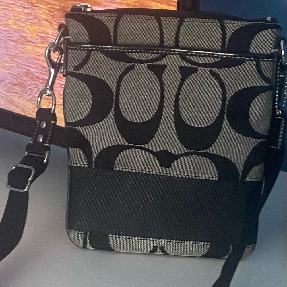Crossover purse